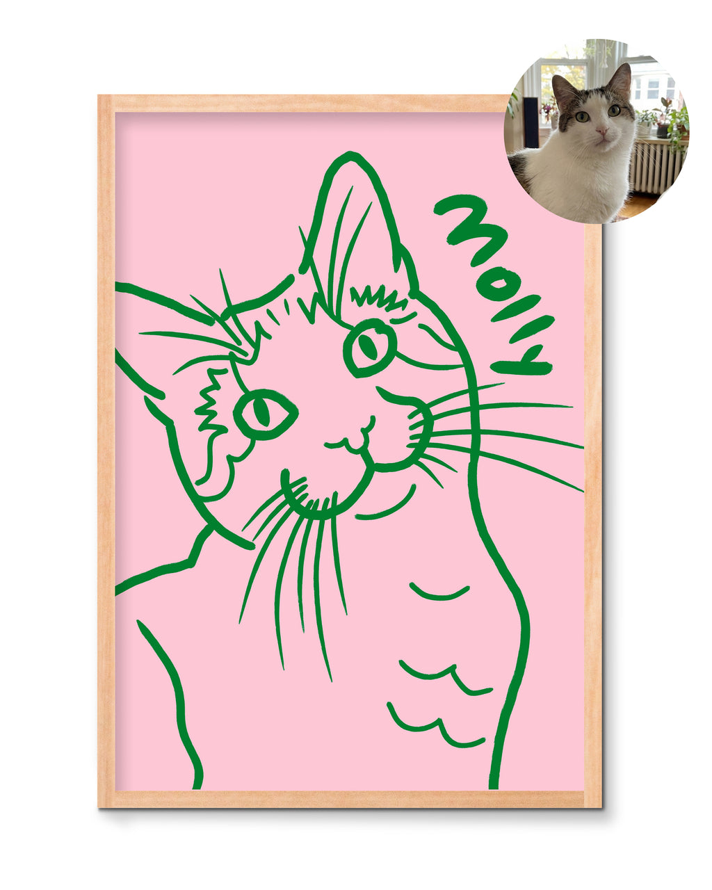 Framed illustration of a cat named 'Molly' on a pink background and green line illustration