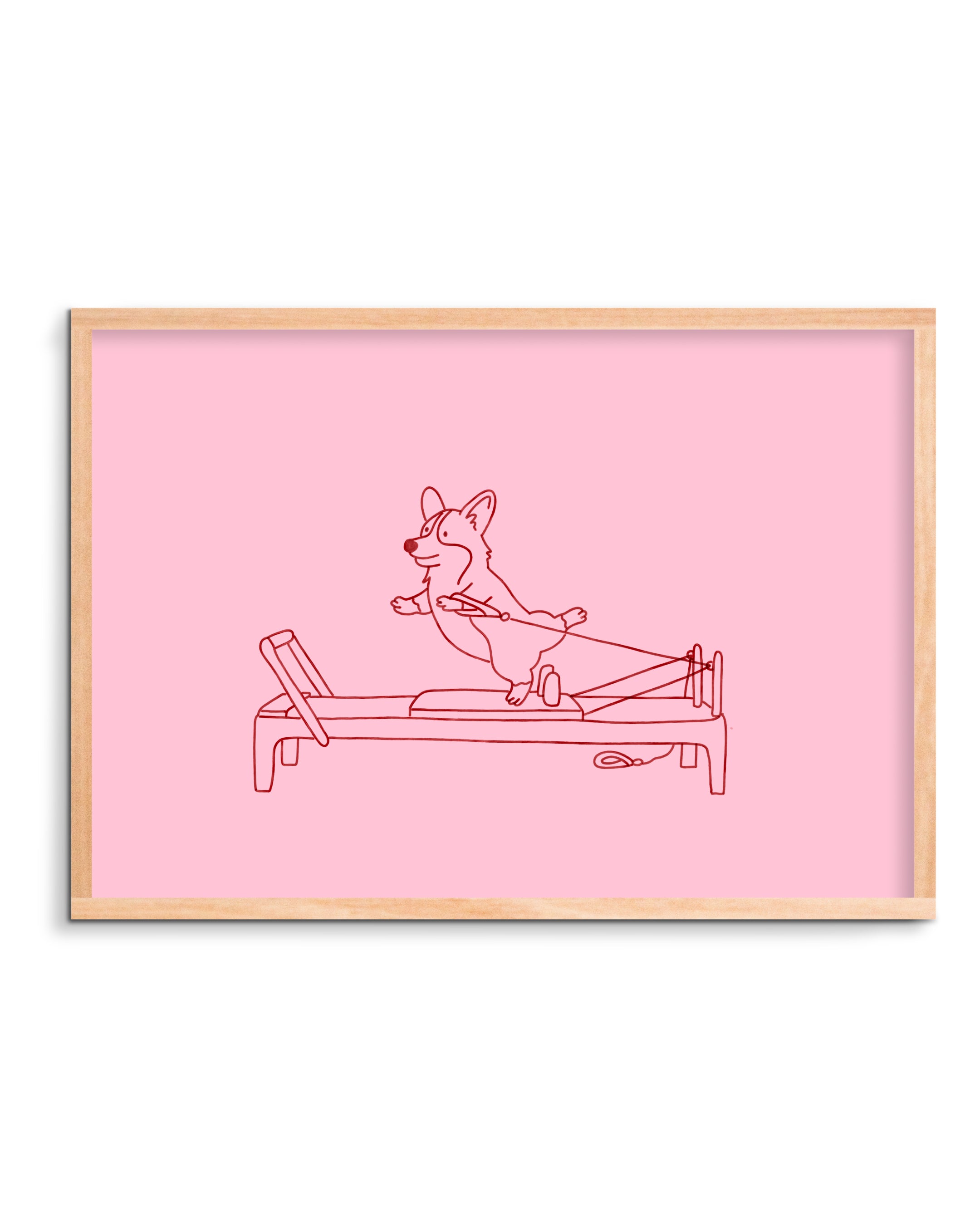 Framed artwork of a dog on a reformer against a pink background