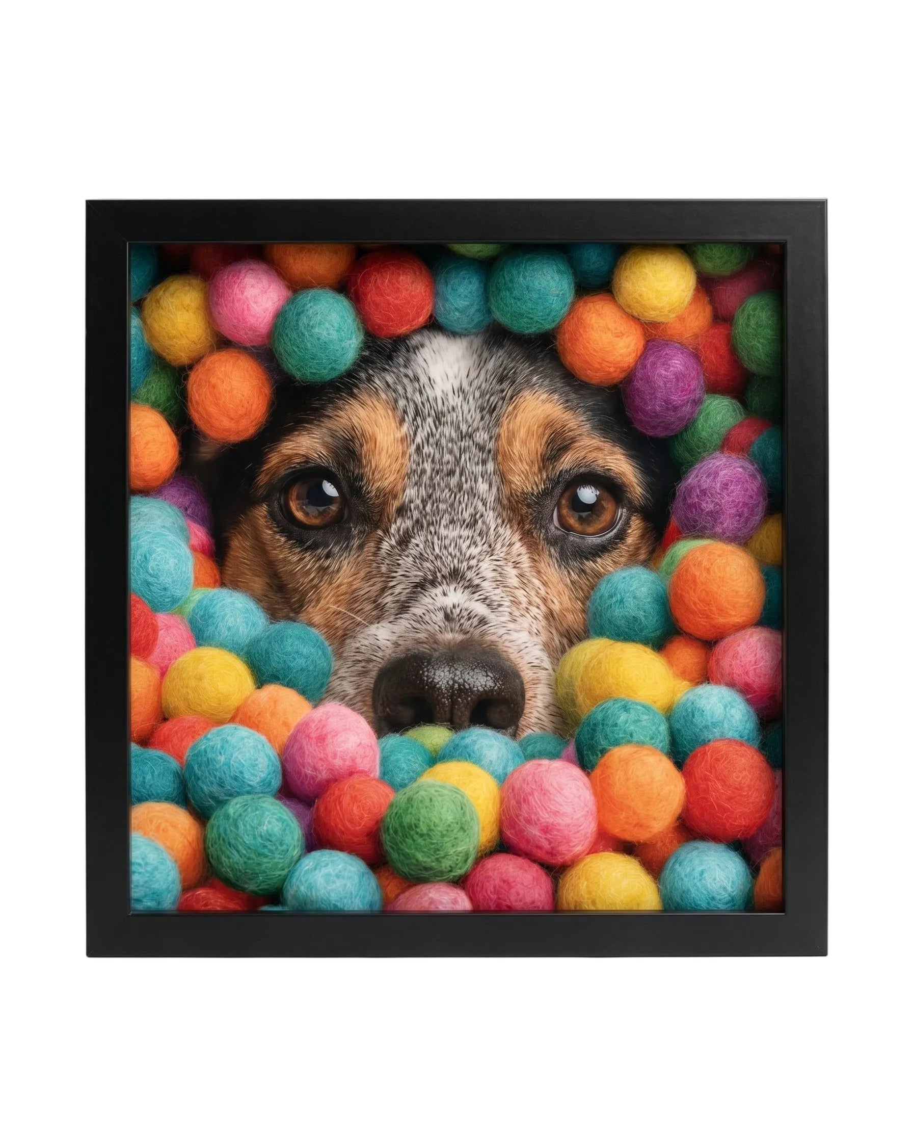 Dog's face peeking out from a frame filled with colorful balls on a white background